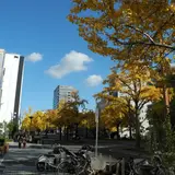 桜通は桜の名所