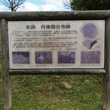 丹後国分寺跡