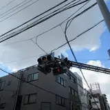 日本