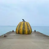 南瓜