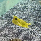 神戸市立須磨海浜水族園