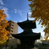 遍照寺多宝塔