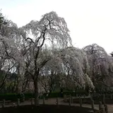 じゅんさい池公園