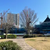 まちの本とサンドイッチ