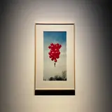 東京都写真美術館