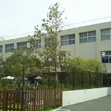 NATURE STUDIO (ネイチャースタジオ)
