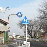 馬専用横断歩道がある