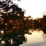 柳川川下り