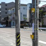 馬専用の押しボタンが存在する