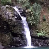 鮎返りの滝