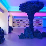 Samo Ondoh Flagship Store