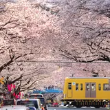 中野通り