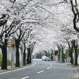あざみ野駅