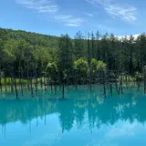 白金青い池