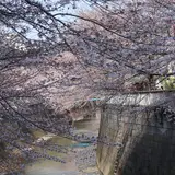 神田川