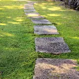 青野 白龍園