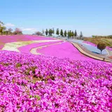 太田市北部運動公園
