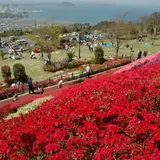 不老山総合公園