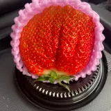 鳥羽マルシェ