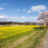川渡大橋河川公園