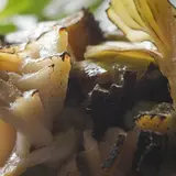 汀渚　ばさら邸