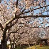 瀬戸公園