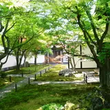黄梅院