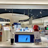 AMPLEUR アンプルール 羽田エアポートガーデン店