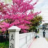 一条戻橋