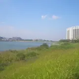 狭山池