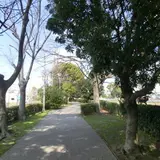 三津屋川
