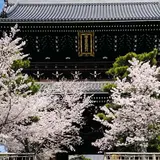 金戒光明寺