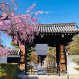 大本山 妙顯寺