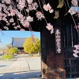 妙覚寺