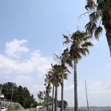 トロピカルな海岸