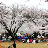 鷺沼公園