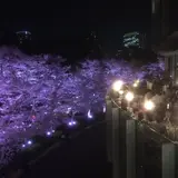ナプレ 東京ミッドタウン（Pizzeria-Trattoria Napule Tokyo MidTown）