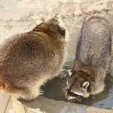 万力公園