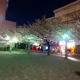 染井吉野桜記念公園