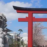 段葛