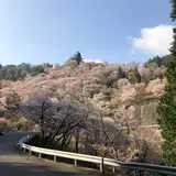 如意輪寺駐車場