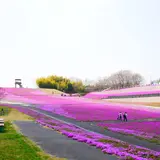 市貝町芝ざくら公園
