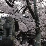 新日吉神宮