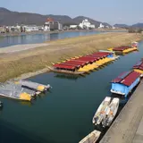 鵜飼船がいっぱい