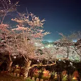 小見川城山公園