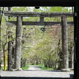 茅部神社の大鳥居