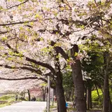 聖路加ガーデン
