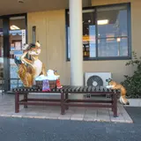 洗濯狐
