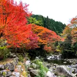 滝ノ口河川公園