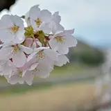鴨川公園